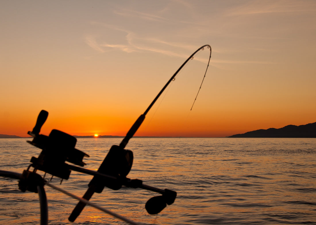 Ontario’s Top Boat Fishing Destinations